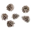 Online 6er Set Tannenzapfen Metallic, Champagner Shop The Look Xmas|Adventskränze & Zubehör