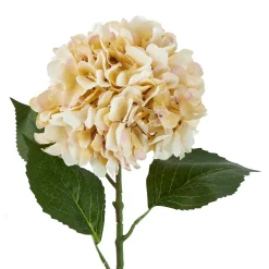 Online Hortensie Antik, Creme, 70 Cm Vasen & Kunstblumen|Weihnachtsdeko