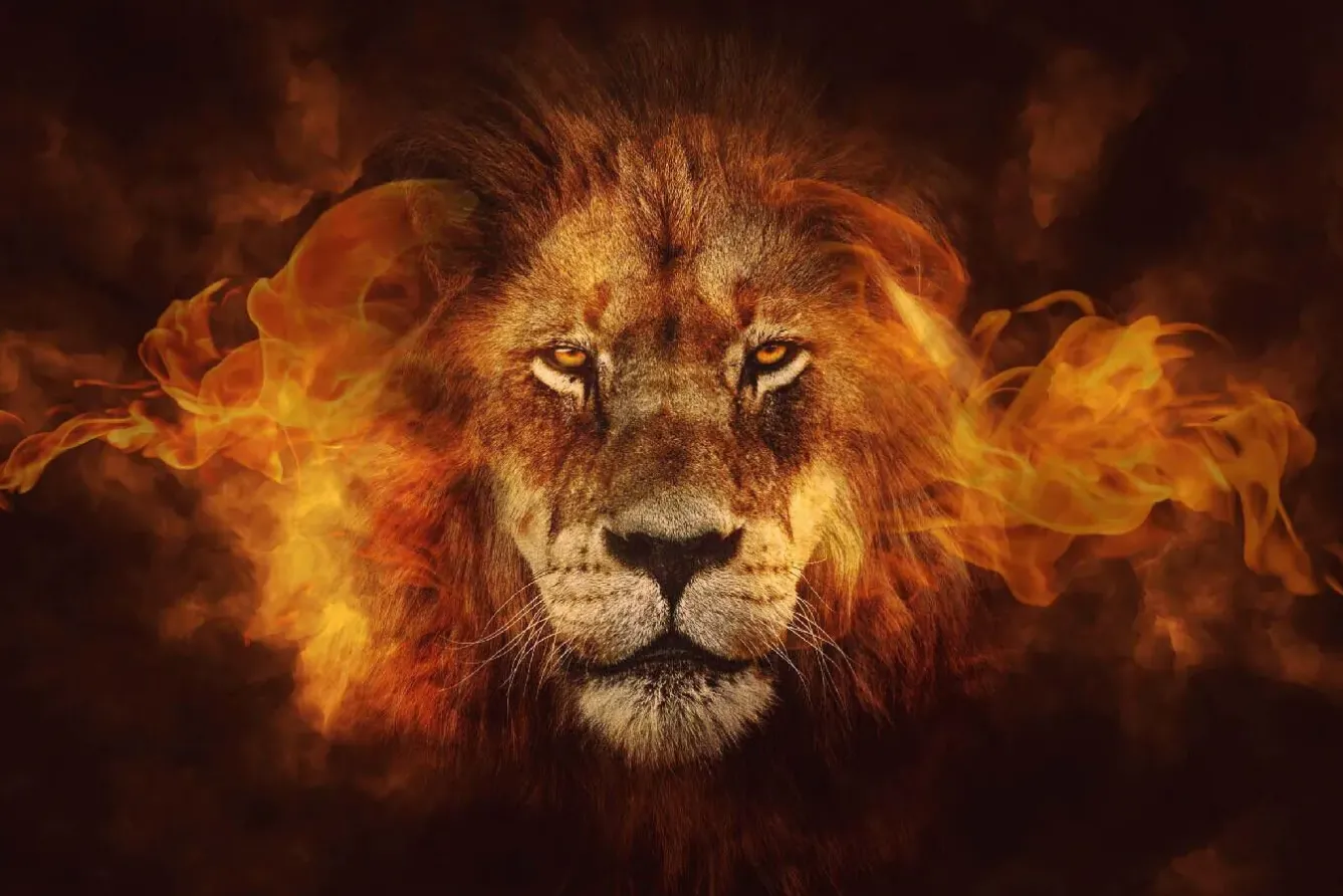 Discount Poster Flaming Lion, Nr. 98 Poster