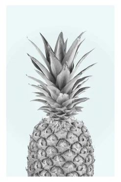 Outlet Poster Pineapple, Nr. 51 Poster