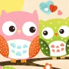New Poster Sweet Owl - Hello, Nr. 49 Poster
