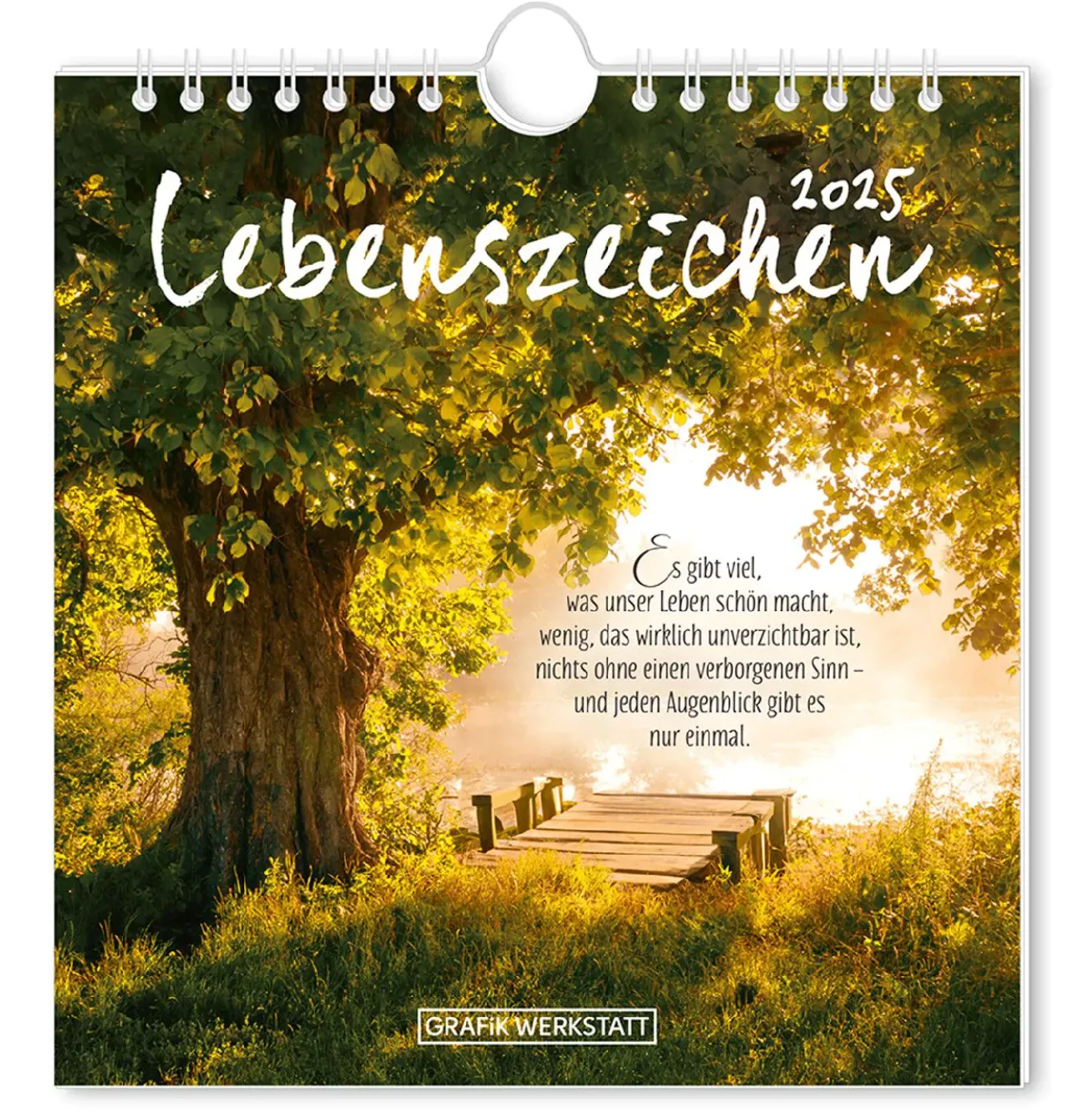 New Postkarten Kalender, 2025, Lebenszeichen Kalender & Planer|Weihnachtsgeschenke