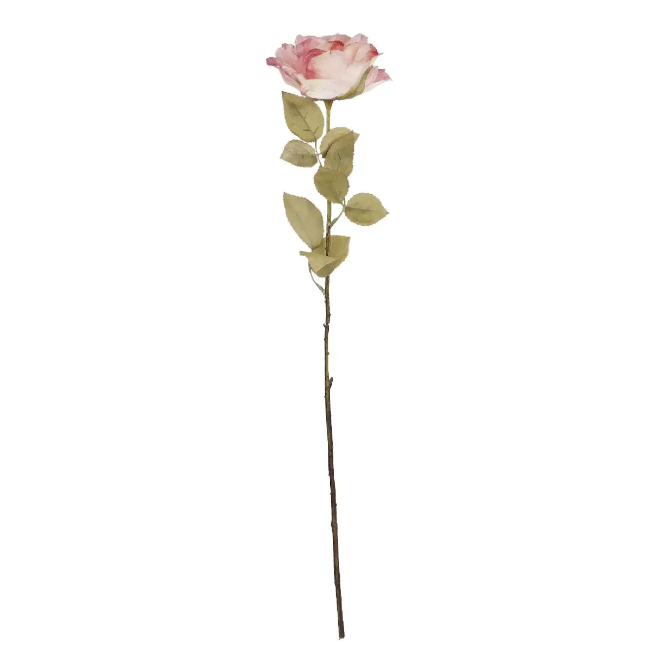 Online Rose Theresa, Rosa, 63 Cm Vasen & Kunstblumen|Herbstdeko