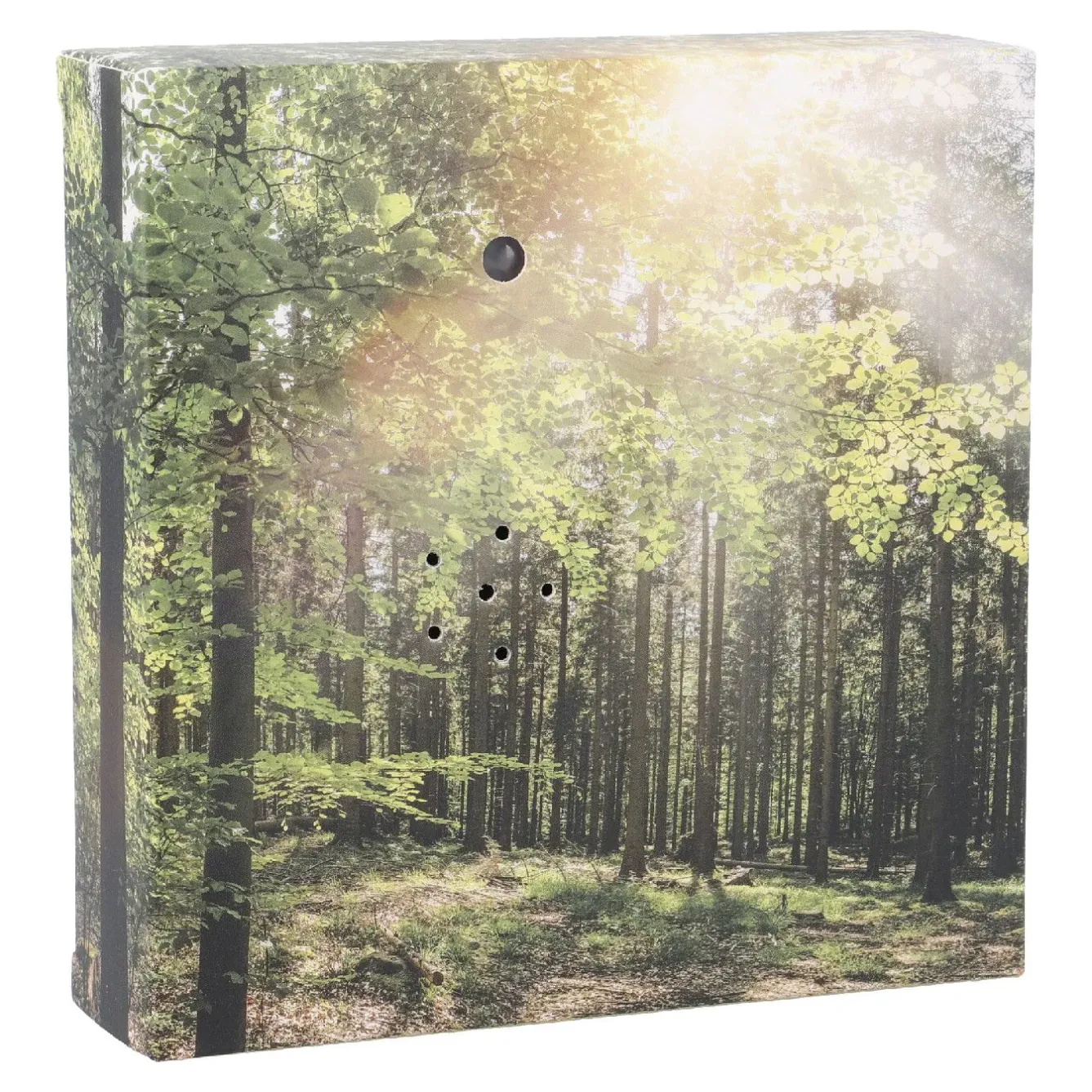 Online Soundbox Bewegungssensor, Wald, 12 Cm Geschenkideen|Gadgets