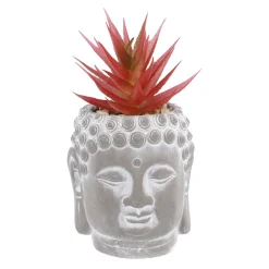 Discount Sukkulente Buddhakopf, Rot/spitz, 15 Cm Outdoor & Garten